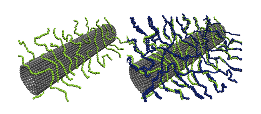 at the interface of polymer matrix/carbon nanotube)